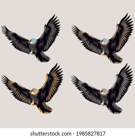 Flying eagle vector design with different colors. Angry flying eagle