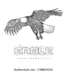 Flying eagle vector. hand drawn animal illustrations