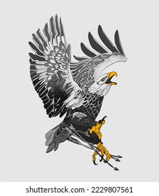  A Flying eagle vector image