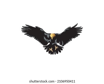 flying eagle vector isolated. hawk hunting and flying.