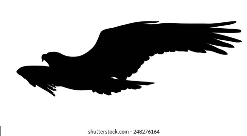 Flying eagle  vector silhouette