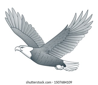 Flying eagle. Vintage vector illustration on white background