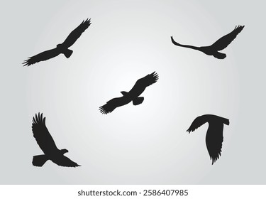 Flying Eagles Silhouette, Eagles Free Vector art for your design