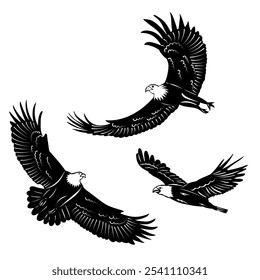 flying eagles silhouette on white background, vector