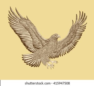 Flying eagle.Vector falcon on a monochrome background. Hunting bird of prey with outstretched wings.