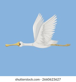 Fliegender Eurasischer Löffler auf isoliertem Hintergrund