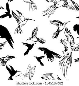 Flying exotic birds seamless pattern  Black   white sketch parrots   hummingbirds  Art background for textile  fabric  wallpaper etc  Vector  EPS 10
