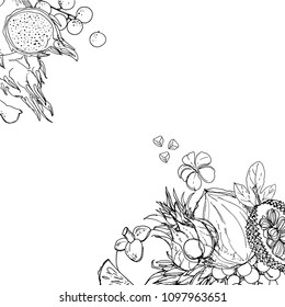 Flying exotic fruits on a white background. A sketch of food. Coconut, Physalis, mangosteen, pineapple, banana, jackfruit