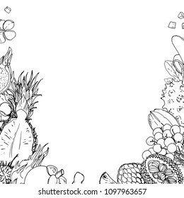 Flying exotic fruits on a white background. A sketch of food. Coconut, Physalis, mangosteen, pineapple, banana, jackfruit