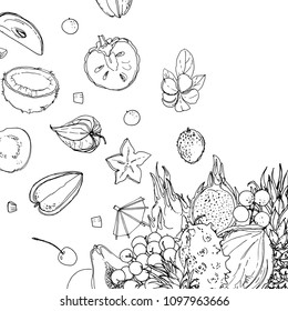 Flying exotic fruits on a white background. A sketch of food. Coconut, Physalis, mangosteen, pineapple, banana, jackfruit