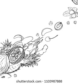 Flying exotic fruits on a white background. A sketch of food. Coconut, Physalis, mangosteen, pineapple, banana, jackfruit