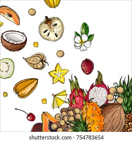 Flying exotic fruits on a white background. A sketch of food. Coconut, Physalis, mangosteen, pineapple, banana, jackfruit