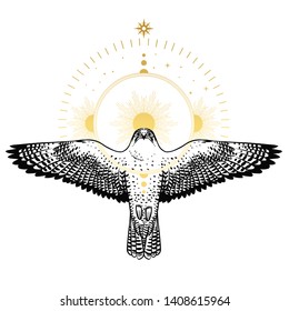 Flying falcon and the halo. Vector hand drawn illustration in boho style