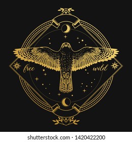 Flying falcon in ornate frame on black background. Vector hand drawn illustration in dark bohemian style