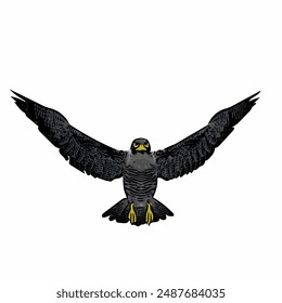 Flying Falcon peregrine design, work for logo icon mascot 