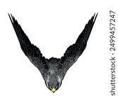 Flying Falcon peregrine vektor animal ilustration design 