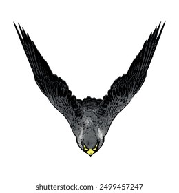 Flying Falcon peregrine vektor animal ilustration design 