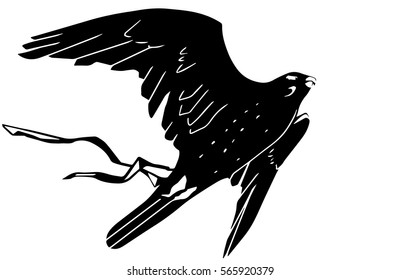 flying falcon with ribbon tattoo vector black and white