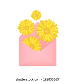 flor de caléndula amarilla en flor, caída o plana, sobre de papel rosa, elemento de diseño de ilustración vectorial de material aislado en fondo blanco