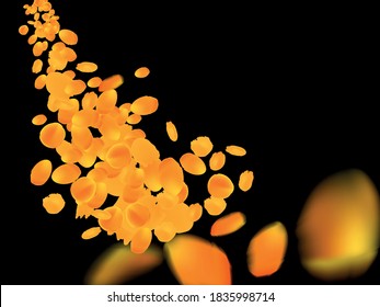 flying and falling orange gold petals of cempasuchil / marigold flowers isolated on black background commonly used at day of the dead altars in Mexico at night, Dia de los moertos vector illustration