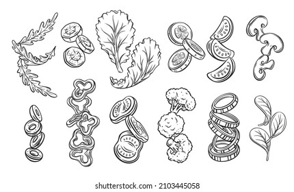 Flying or falling sliced vegetables, lettuce and greens. Sketch of tomatoes, arugula, olives, cucumbers, peppers, broccoli, etc. Engraved chopped vegetables for healthy cooking vector illustration