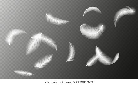 Las plumas voladoras. Caer girando esponjoso cisne blanco realista, las alas de paloma o ángel fluyen. Ilustración vectorial 3d realista de la textura de plumas de paloma en caída