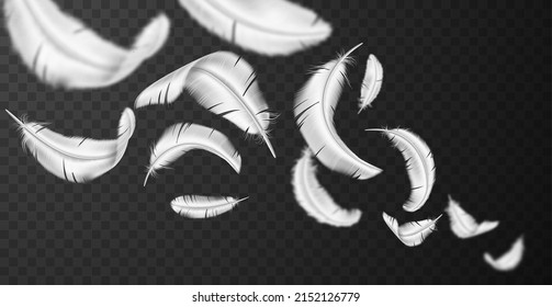 Flying feathers. Realistic white feathering flight trail. Bird plumage. Fluffy and light falling objects. Wings parts. Floating goose or swan quills collection. Vector