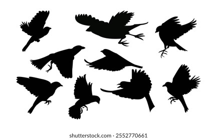 Design De Silhueta De Pássaro De Finches Voadores E Ilustração De Vetor. 