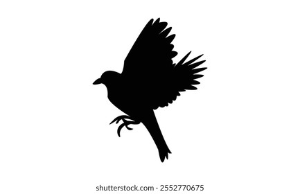 Design De Silhueta De Pássaro De Finches Voadores E Ilustração De Vetor. 