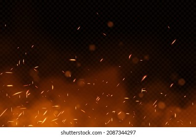 Flying fire sparks on transparent background. Vector illustration
