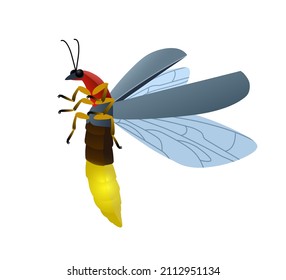 A flying firefly, a night insect, a flickering beetle. Color vector illustration isolated on a white background in cartoon and clipart style.