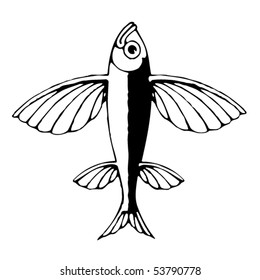 flying fish black and white