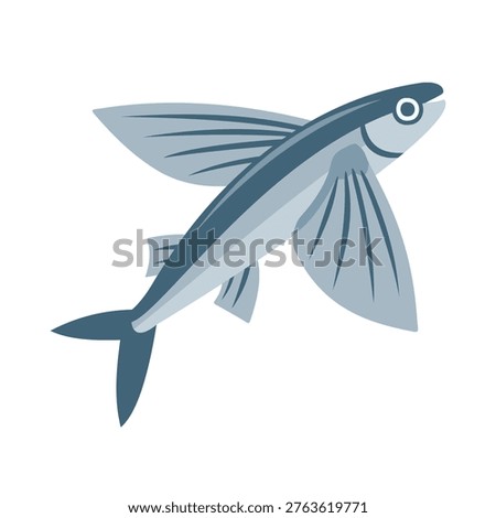 Flying Fish Illustration Vector Template Design