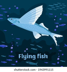 Flying fish. Sea animals. Marine fish in the order Beloniformes class Actinopterygii. Save the ocean concept. Editable vector illustration in dark colors. Colorful cartoon flat style.