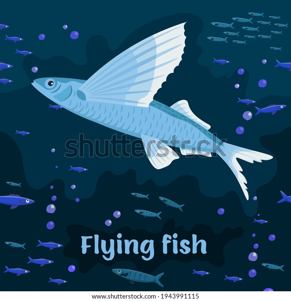 Flying fish. Sea animals. Marine fish in the order\
Beloniformes class Actinopterygii. Save the ocean concept. Editable\
vector illustration in dark colors. Colorful cartoon flat\
style.