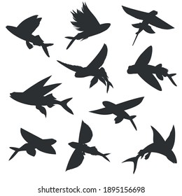 Flying Fish Silhouette vector design  illustration