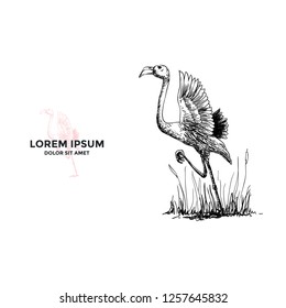Flying Flamingo Hand Drawn Logo Inspiration