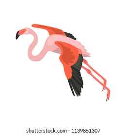 Flying flamingo high quality color icon