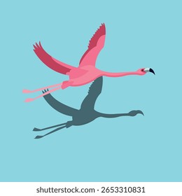 Flying flamingo with its shadow vector illustration