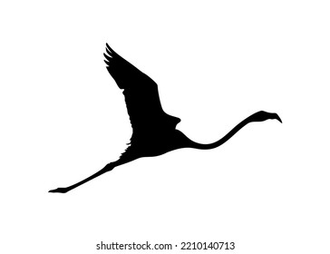 Flying Flamingo Silhouette for Icon, Symbol, Logo, Art Illustration, Pictogram, Website,  or Graphic Design Element. Vector Illustration