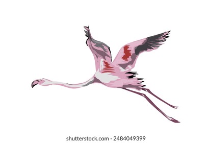 a flying flamingo without a background