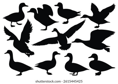 
Flying and floating duck silhouettes set isolated flat vector illustration on white background.