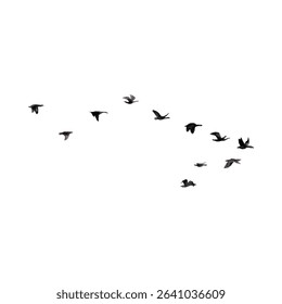 Flying flock of bird silhouettes. Black doves or seagulls isolated, symbolizing freedom and movement.
