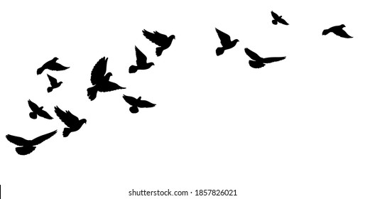 A flying flock of birds, pigeons. Black silhouettes. Vector illustration