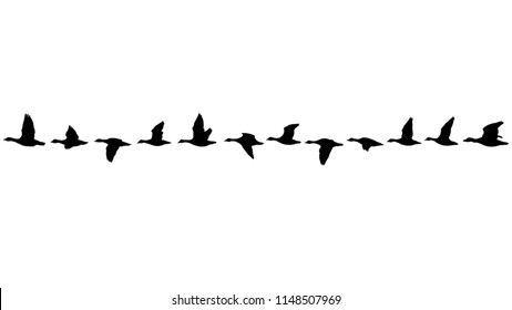 Flying flock of geese in the fall, line of birds in the sky isolated on white background seamless