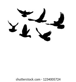 Flying Flock Pigeons Silhouette Black Stock Vector (Royalty Free ...