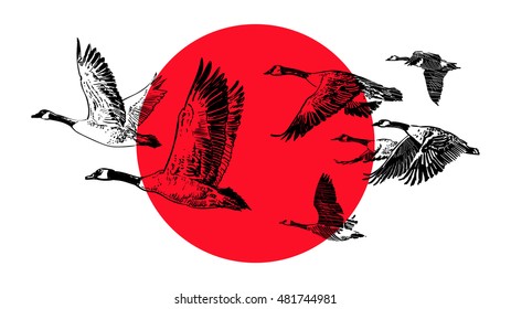 Flying flock of wild geese on a red sun background. Hunting club design. Tattoo. Flag of Japan. Sketch style hand drawn vector illustration.