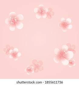 Flying flowers isolated on light peach pink background. Apple-tree flowers. Cherry blossom. Border. Vector EPS 10 cmyk