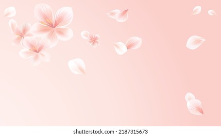 Flying flowers and petals isolated on light peach pink gradient background. Cherry blossom. Vector