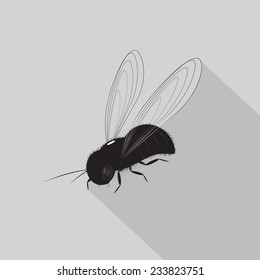 The flying fly of black color